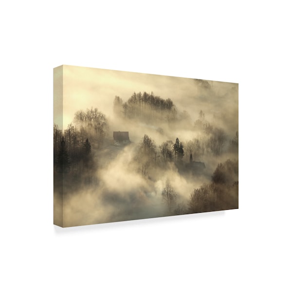 Izabela Laszewska 'Awakening Fog' Canvas Art,30x47